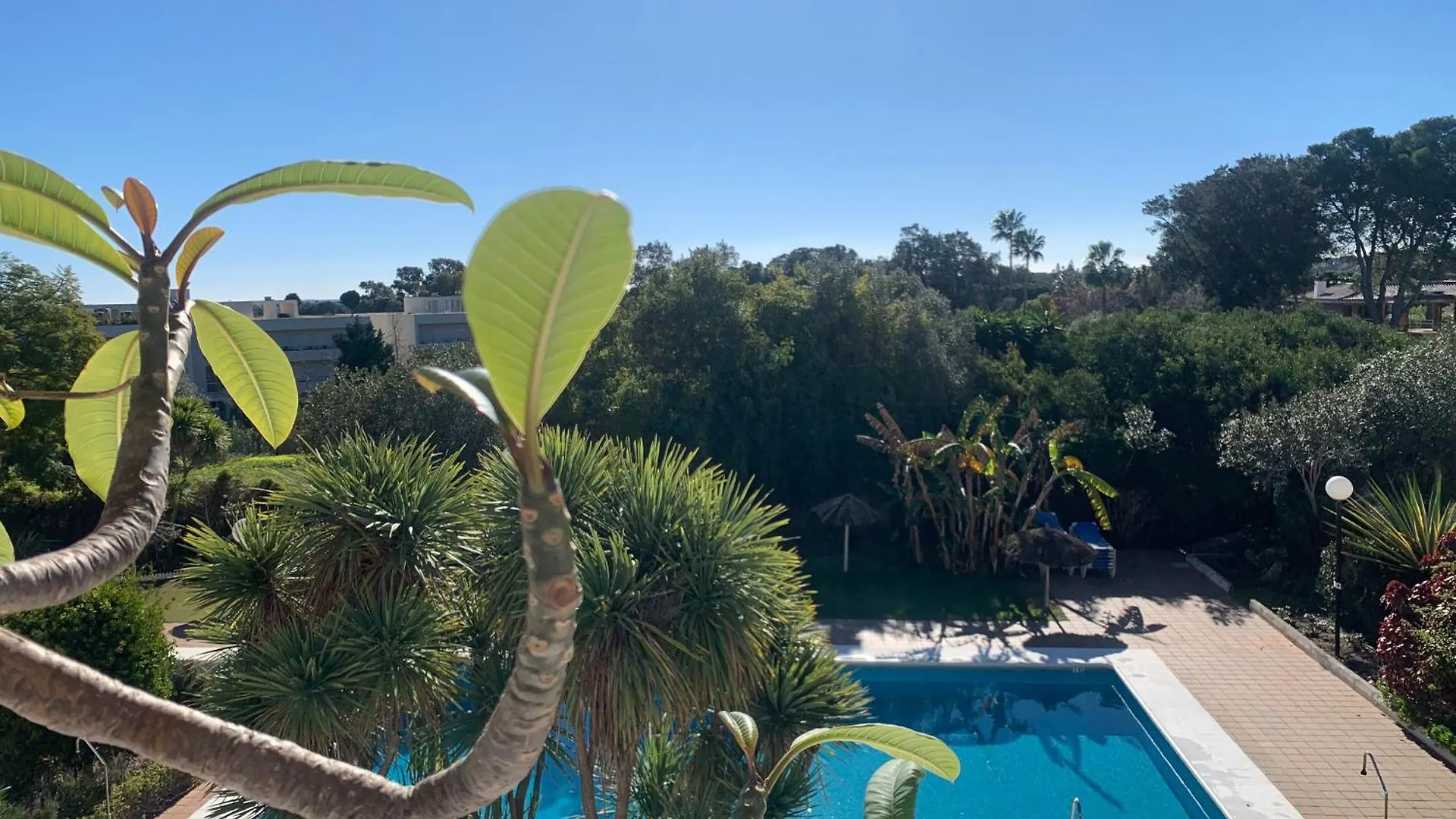 Sotogrande Duplex Near Polo, Best Pool View, 2 Pools, Full South, 7 Drive To Beaches And Port